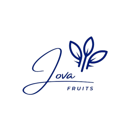 Imagen_de_WhatsApp_2024-04-03_a_las_10.24.32_45ba504f-removebg-preview